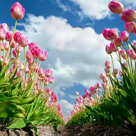 Bed&bulbs Apartamento