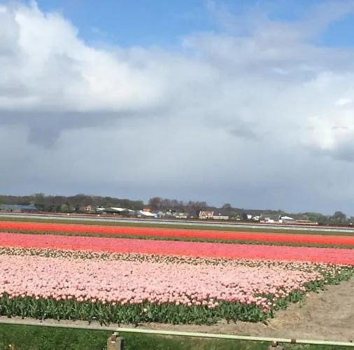 Bed&bulbs * هيليخوم