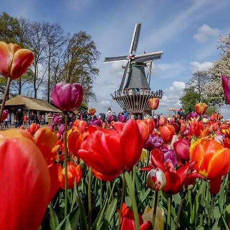 Bed&bulbs Apartamento