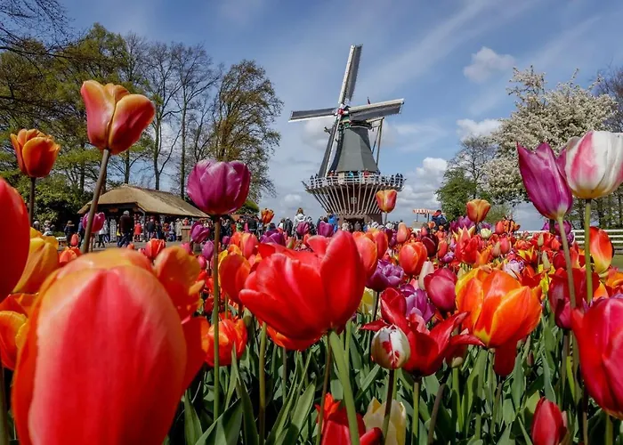 Bed&bulbs Apartamento